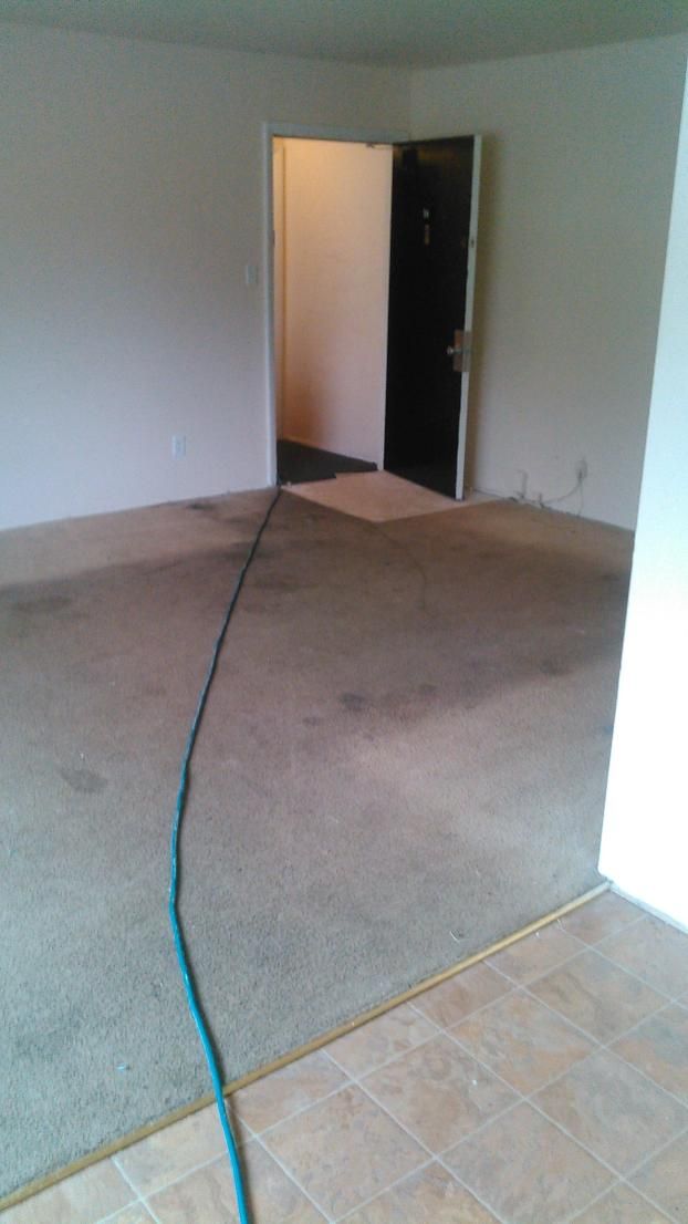 Before a completed carpet cleaning project in the  area