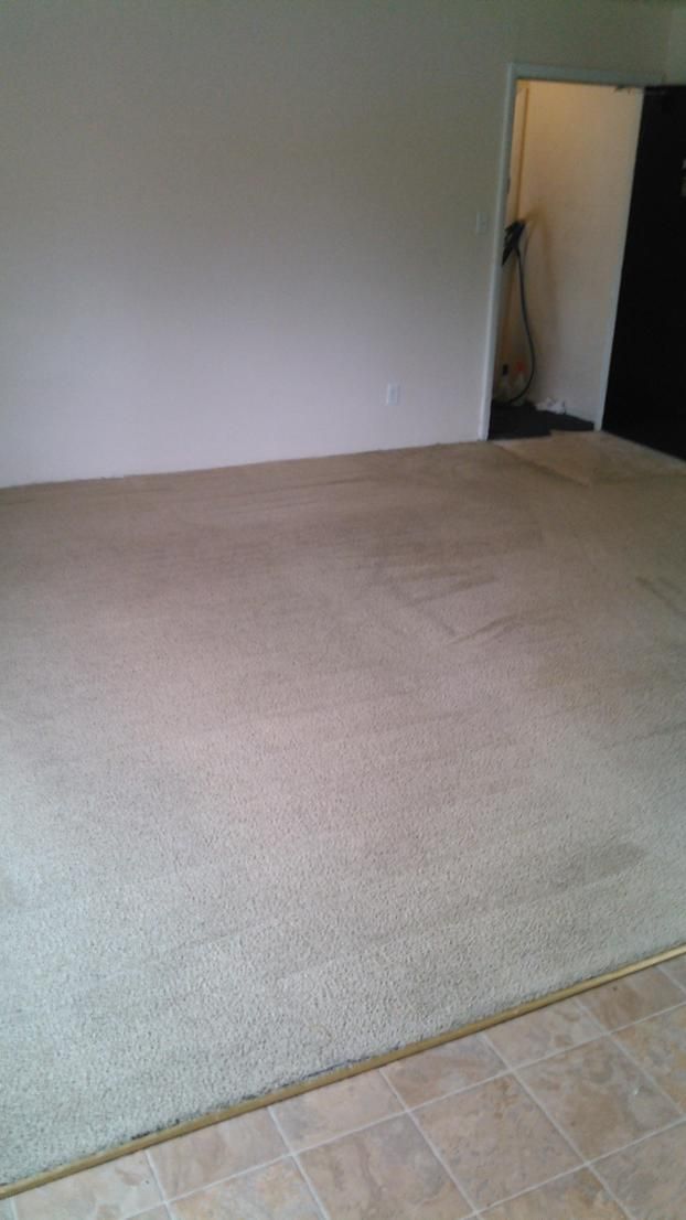 After a completed carpet cleaning project in the  area